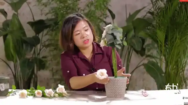 20节插花视频教程：花艺技巧与生活美学
