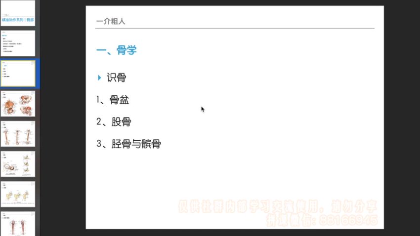 麦大湿臀部精准训练14课：从解剖到动作全解析