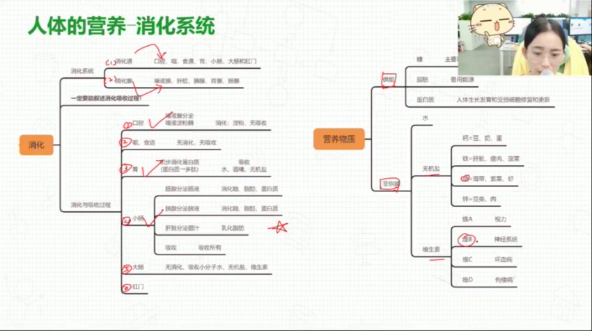 初一生物春季课程：全面掌握人体系统与健康