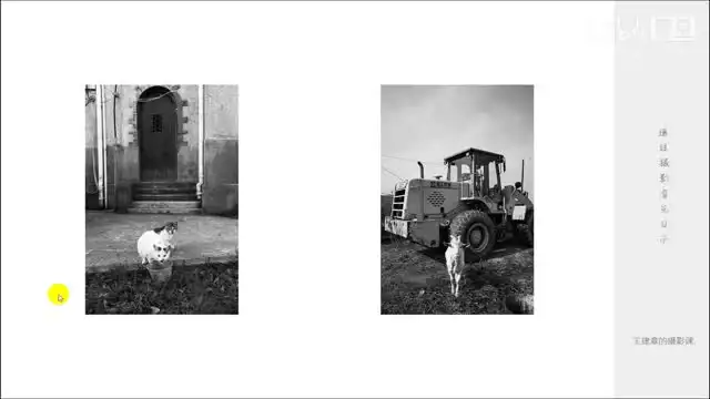 《王建章摄影课：从基础到高级，全面提升摄影技巧》