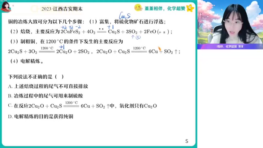 2024高一化学尖端班-王瑾春季系统课（含硫氮/反应原理/有机化学）
