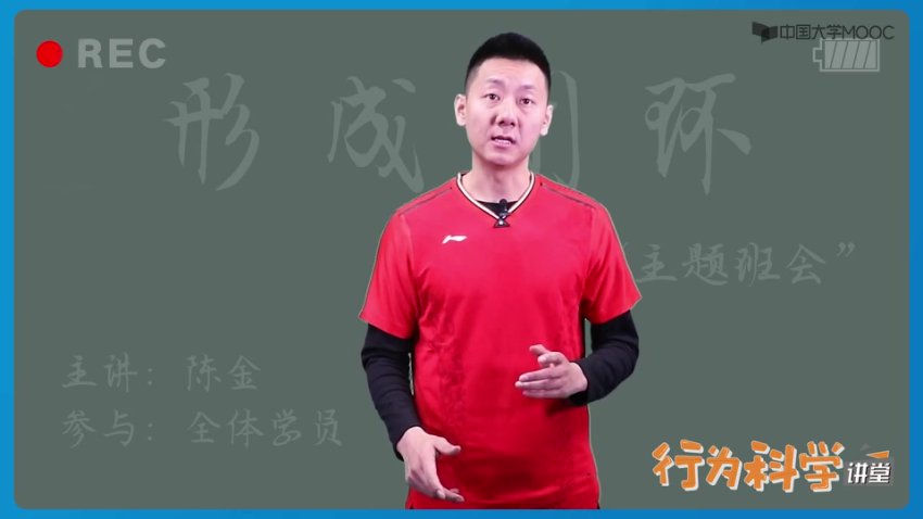 陈金羽毛球教学全集：从入门到高手实战技巧