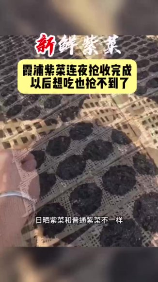 李鲆短视频带货实战指南：从入门到爆单