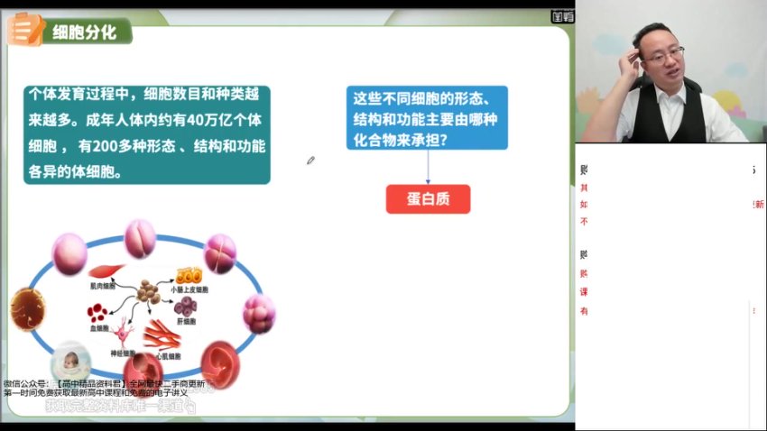 2024徐京高一生物必修一系统课：30天衔接+实验+考点突破