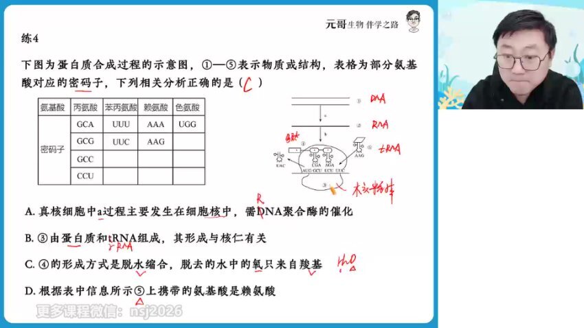 2024高三生物高效提分攻略【张元振】