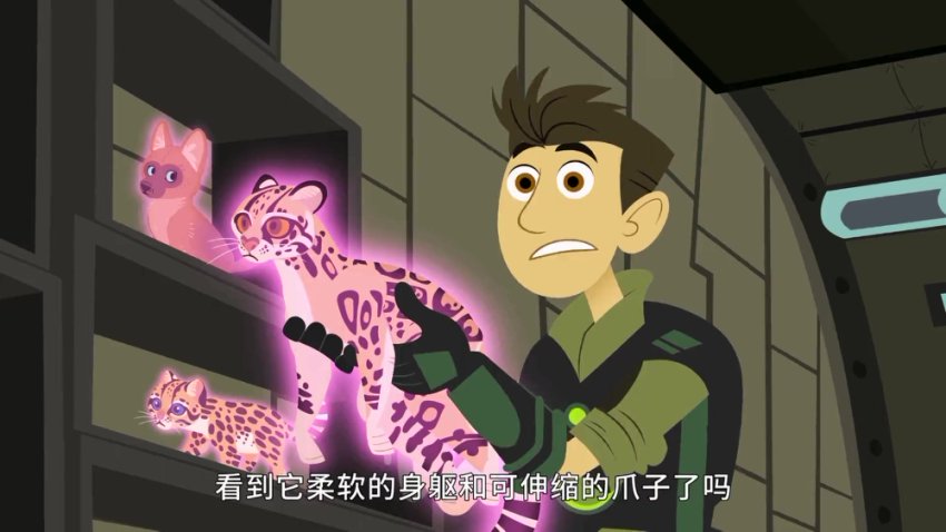 《动物兄弟》全6季158集 1080P超清中英双语