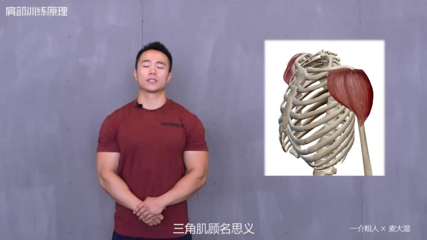一介粗人×麦大湿：肩部训练3大核心技巧与错误纠正