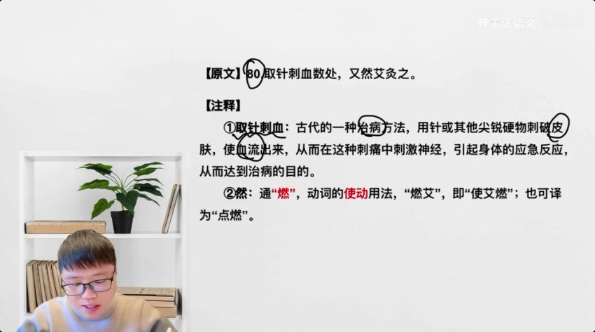 文言文入门必修课：20节精讲+40篇经典带读