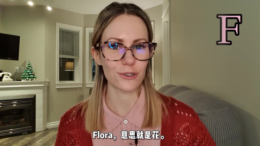 Kristin核心英语课：旅行+职场+文化300+场景化教学