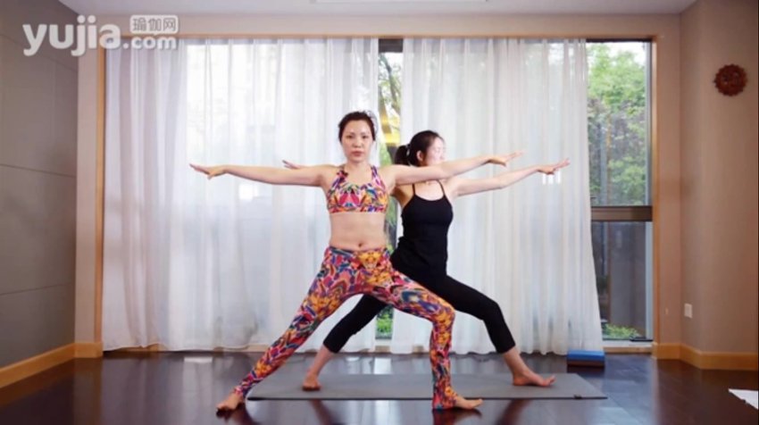 杨淇五行经络瑜伽：养生理疗全教程