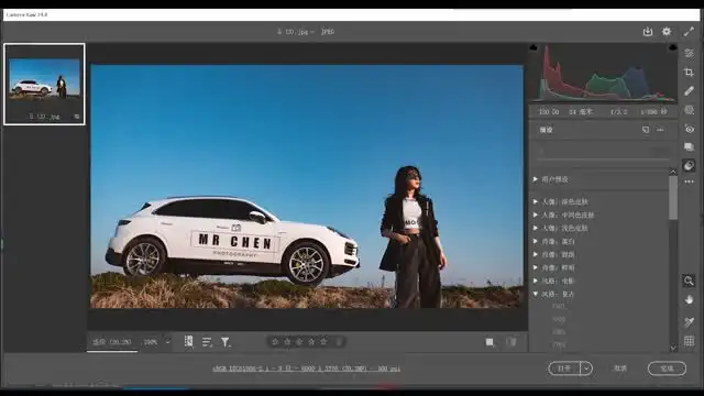 《PS调色与修图：28种风格+专业技巧全攻略》