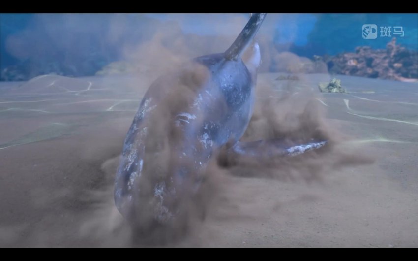 斑马百科：哺乳动物全解析-从特征到行为