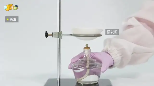 乐乐课堂全学科学习资源：小学到高中+国学+科学实验