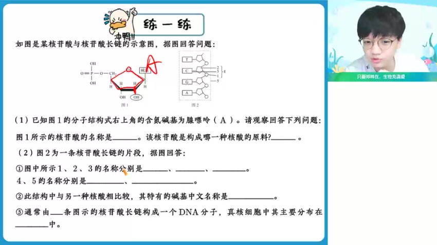 邓帅2024高一生物尖端班：细胞结构与功能精讲