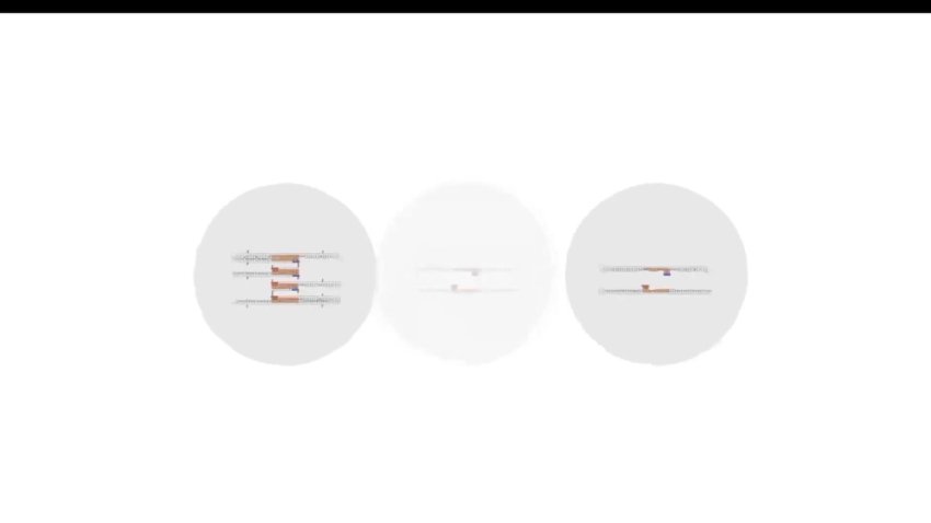 2024高二生物必修课：陈旭晨精讲基因工程与发酵技术