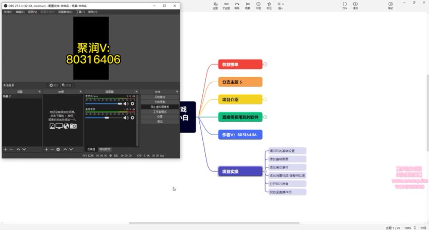 抖音无人直播：美女小游戏蓝海项目
