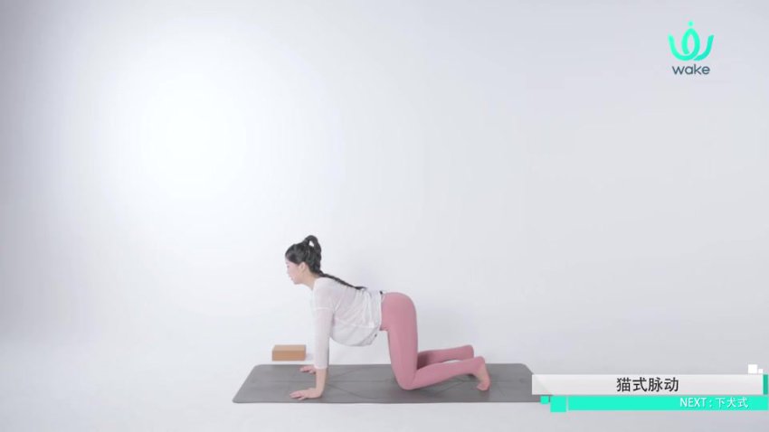 14天零基础瑜伽速成课-王媛14讲