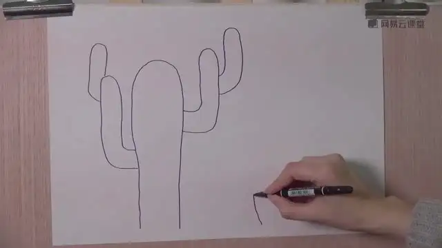 零基础动漫简笔画速成：5分钟掌握绘画技巧