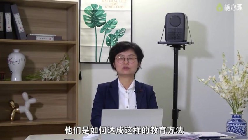 家庭治疗大师课：12种工具解决儿童心理行为问题